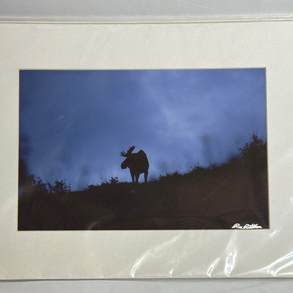 Moose at First Light Signed Art Print by Ronald Rathbun - Picture 2 of 6